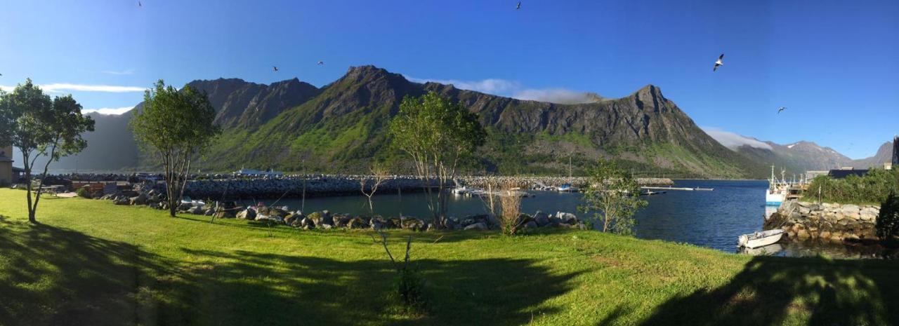 Kaikanten Gryllefjord المظهر الخارجي الصورة